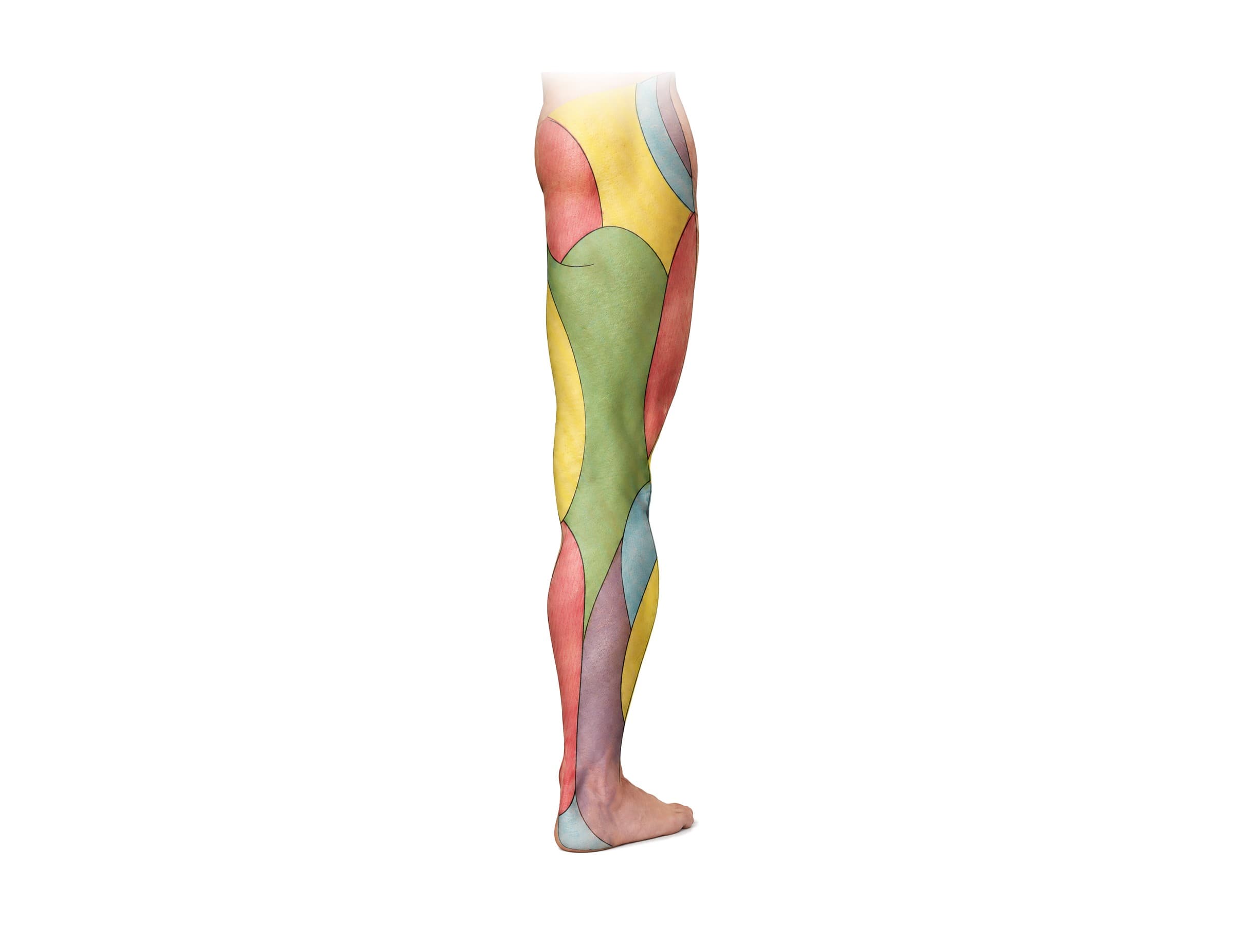 Cutaneous nerves of the leg (back view): posterior femoral cutaneous, sural and tibial skin territories