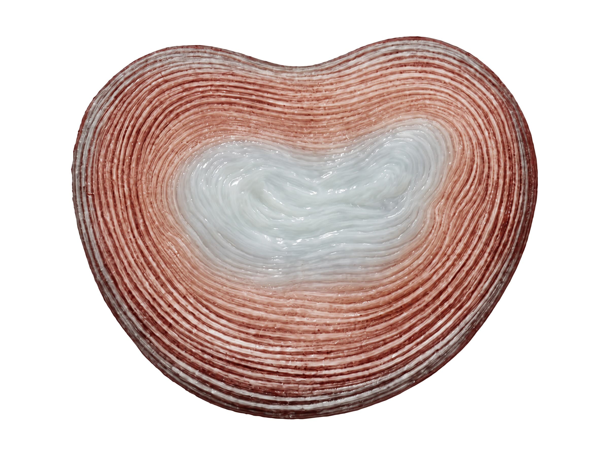 Intervertebral disc (top view): the nucleus pulposus inside the layered annulus fibrosus